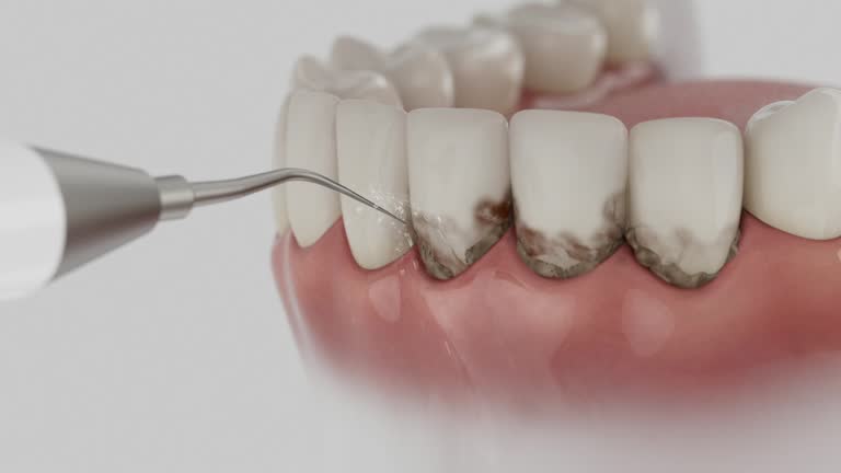 Reliable Dental contractor in Meraux, LA by Dentist Open Now